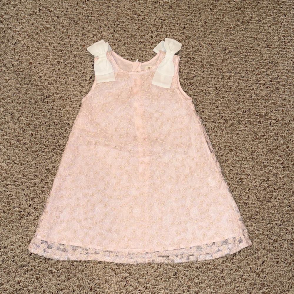 Doe a Dear girls Pink floral appliqué Dress with gold accents - size 5